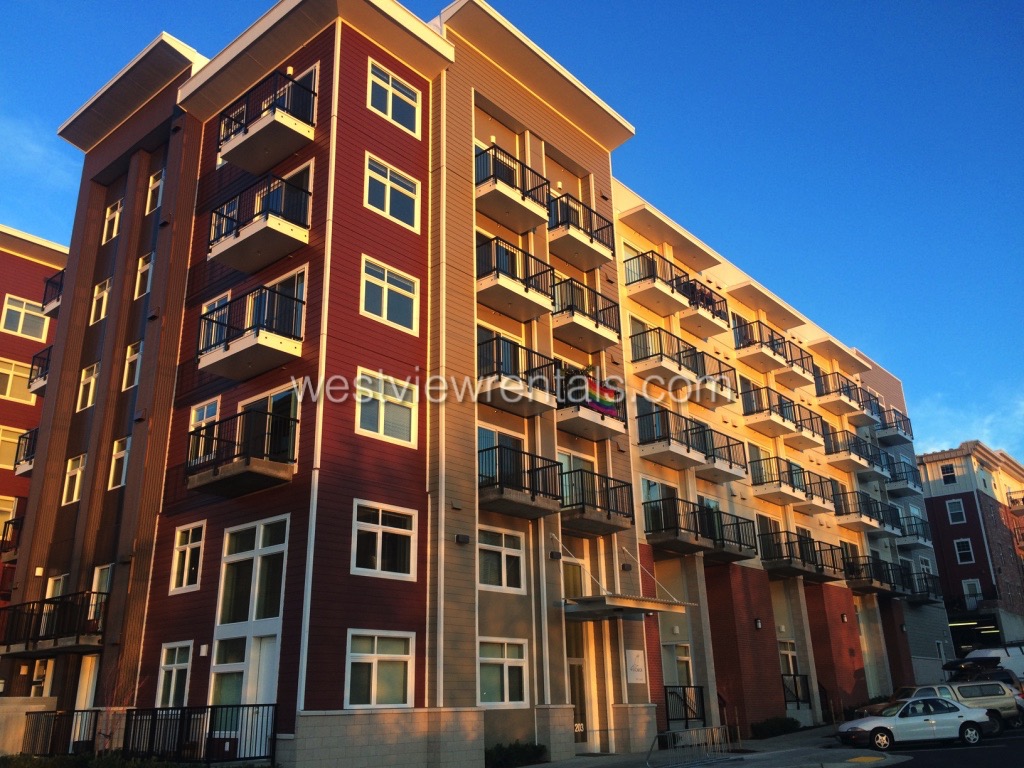 203 E Laurel Street - 402